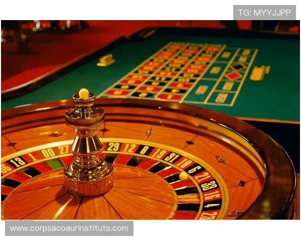 轮盘的心理学影响：赌博成瘾与玩家行为的深层次研究