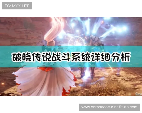 九游ag登录j9平台详细操作指南帮助玩家顺利登录游戏体验更流畅的步骤解析 九游ag登录j9平台详细操作指南帮助玩家顺利登录游戏体验更流畅的步骤解析